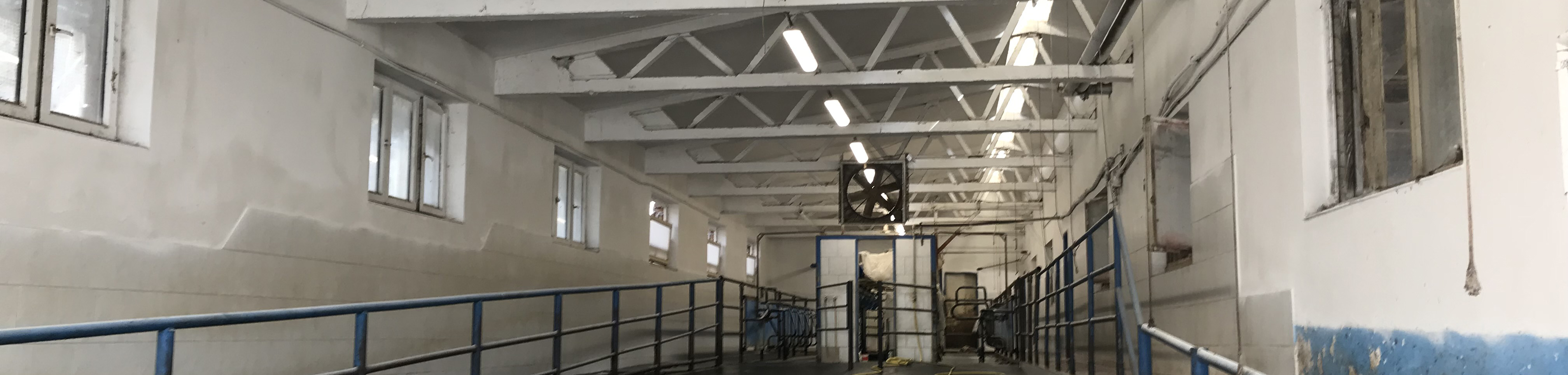 Bílení stájí – ukázka realizace